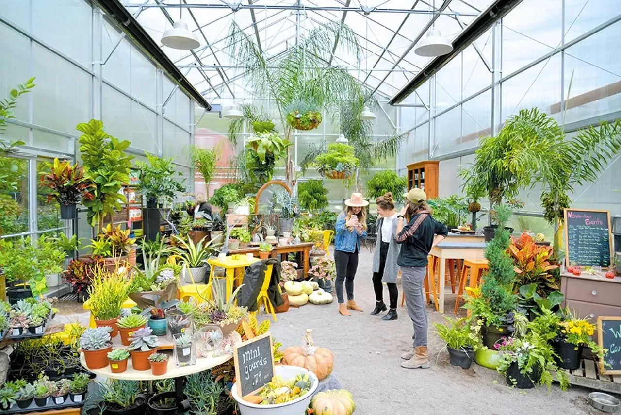 Shop Local With These Small Businesses in the St. Louis Area [PHOTOS]