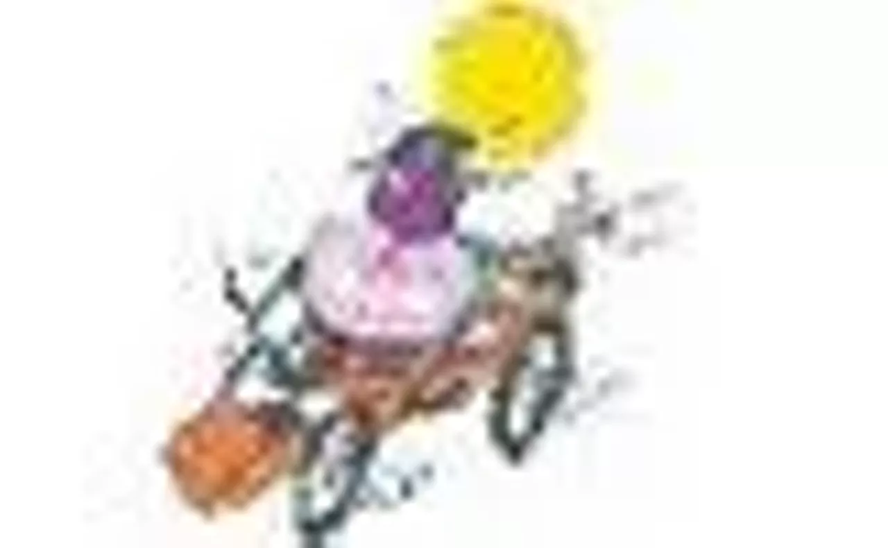 Red Bull Soap Box Derby