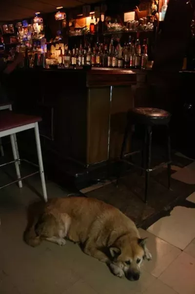 Slo Tom’s Lounge